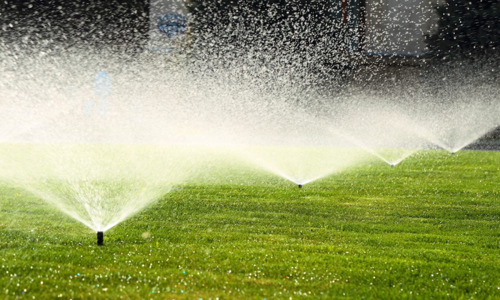 watering your lawn