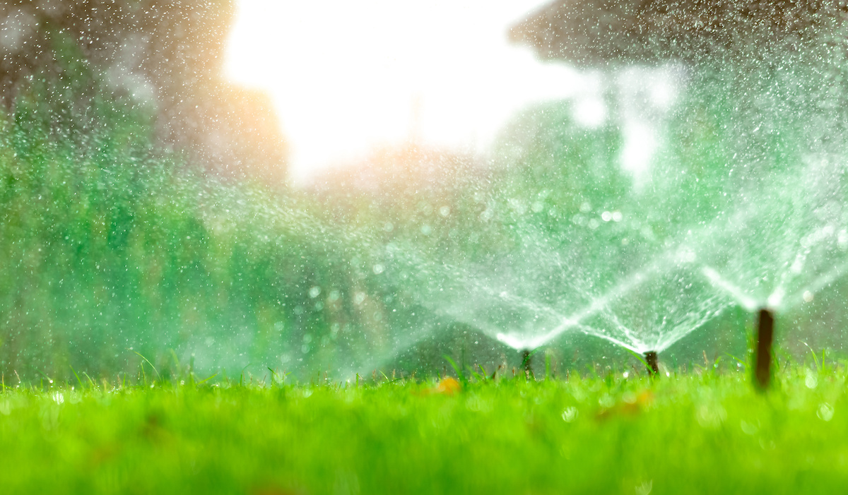 why-a-consistent-watering-schedule-is-so-important-for-your-lawn