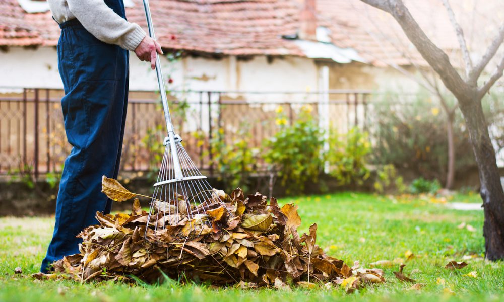 fall lawn maintenance