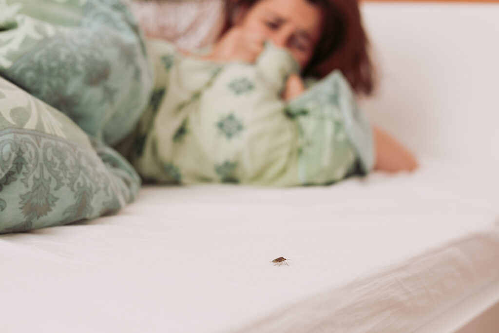 How To Get Rid Of Bed Bugs Houseman, Do Bed Bugs Live In Bedding