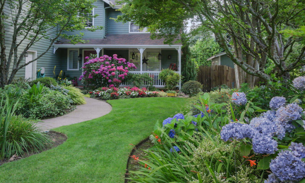 residential lawn maintenance